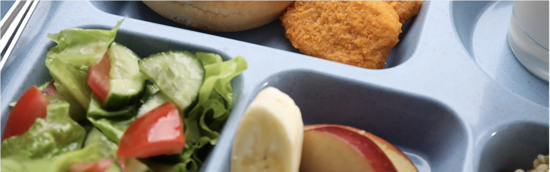 A close up of a lunch tray.