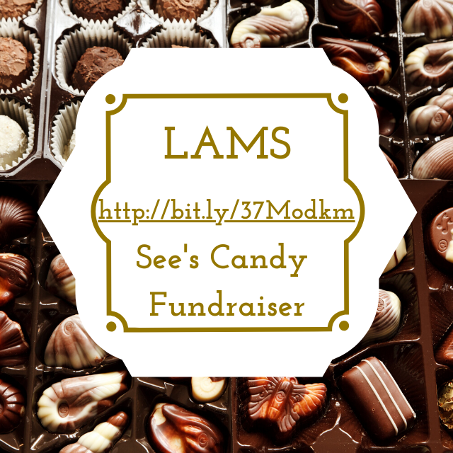 ASB Fundraiser Featured Photo