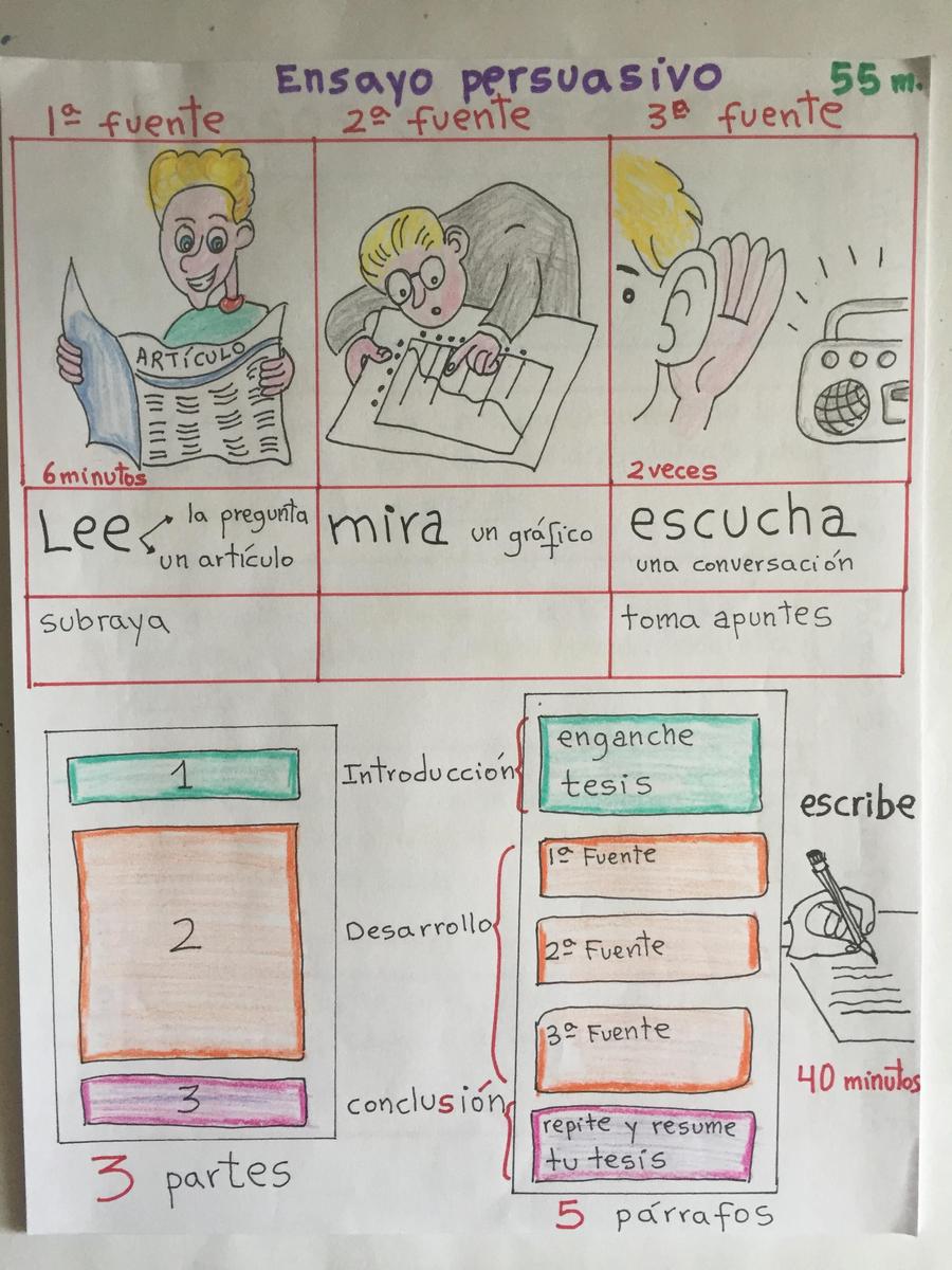 ensayo, dibujo, AP.JPG