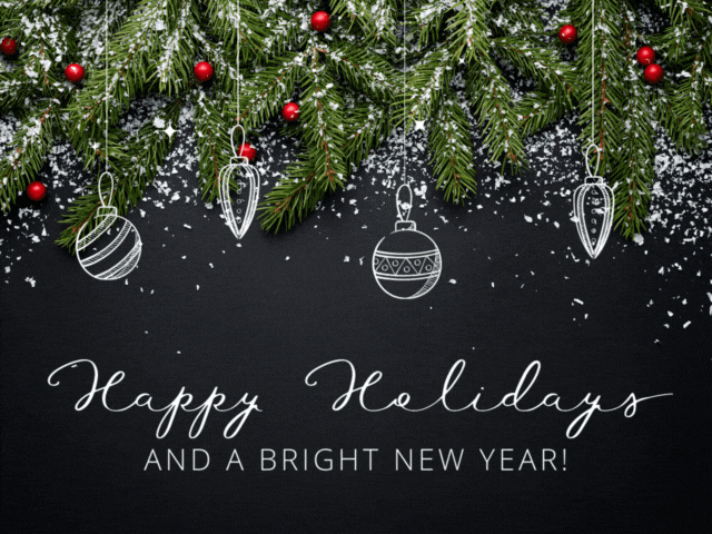 Happy Holidays and a bright New Year!