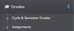 Ascender Grades Section Icon