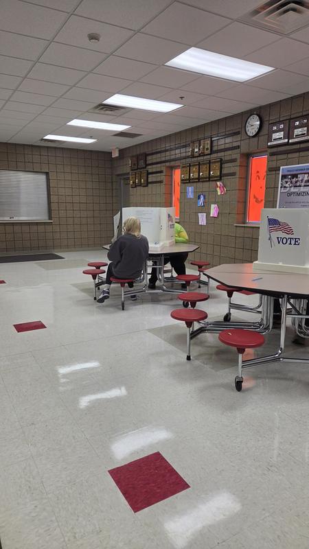 Mock election