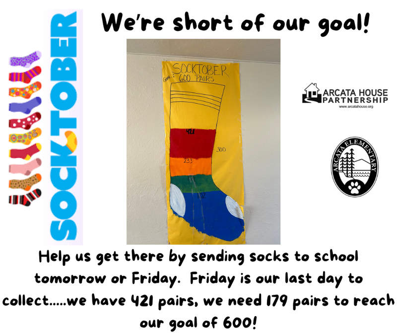 Sock painted in different colors, depicting a tally of 421 pairs of socks collected.