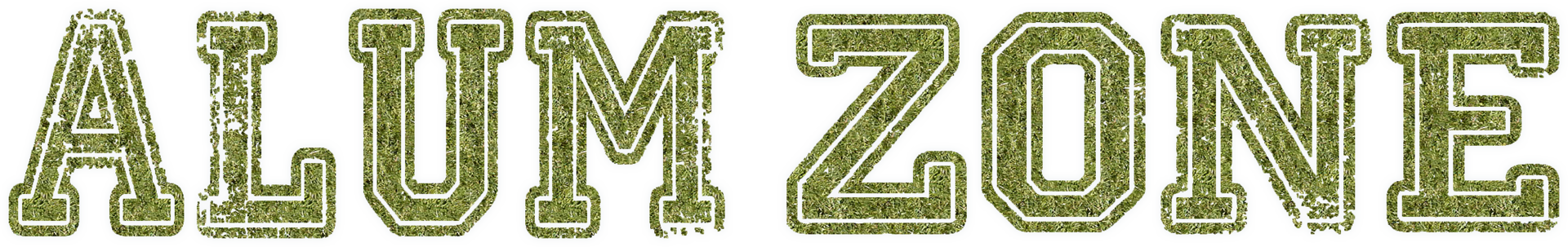 Warrior Alum ZOne party graphic