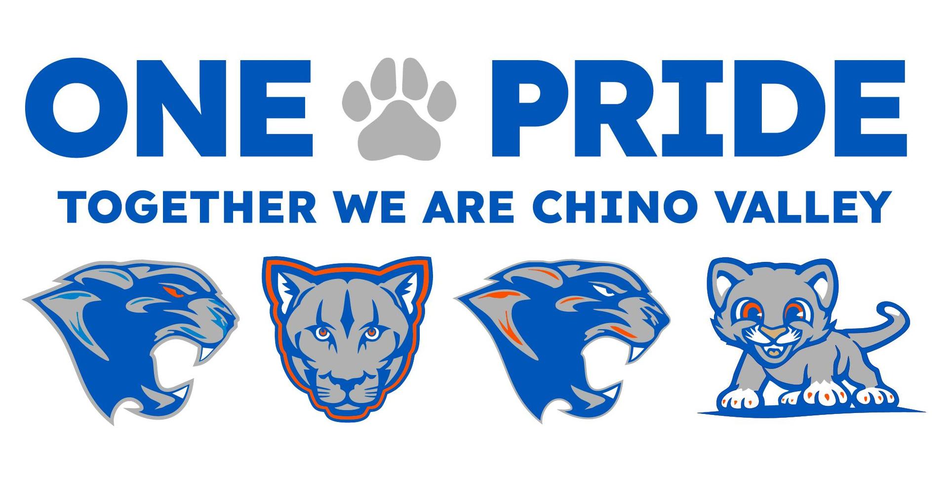One Pride CVUSD Logo
