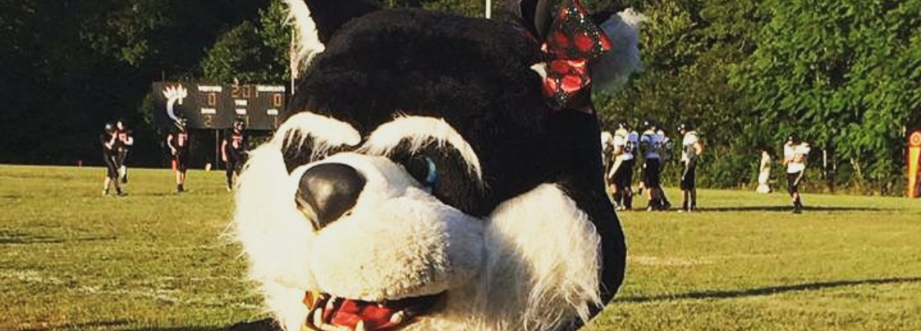 beary
