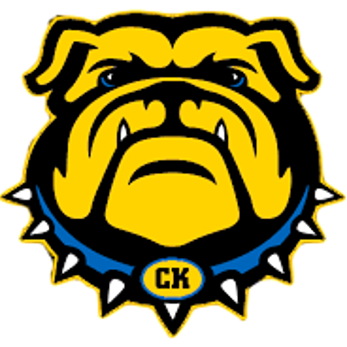 Bulldog mascot with a blue collar and spiked studs, featuring a fierce expression.