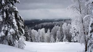 Snowy background for news alert popup