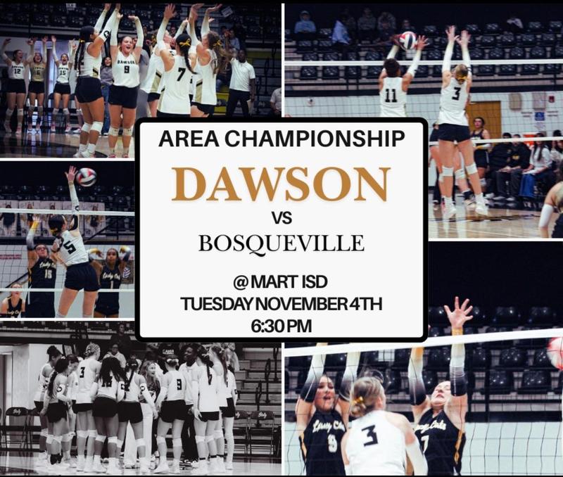 2025 Area Volleyball Playoffs Featured Photo