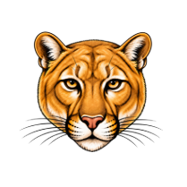 IvyTran's Profile Photo