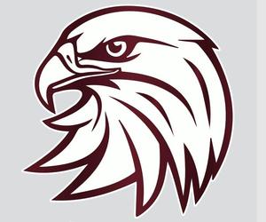Eagles Head Image