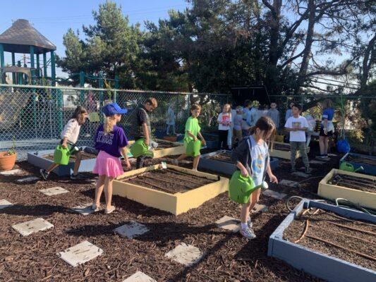 Meadows Elementary Garden