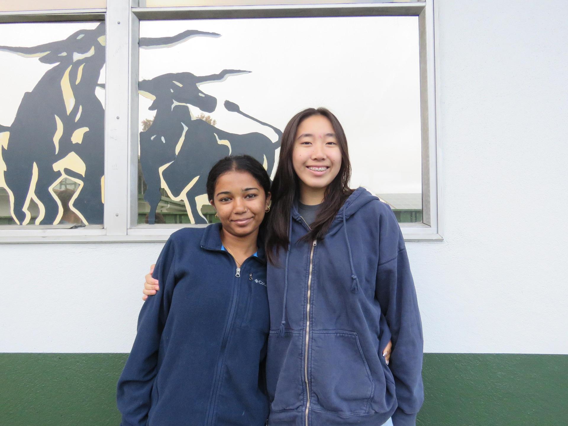 Inclusion and Diversity Commissioners