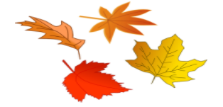 Fall