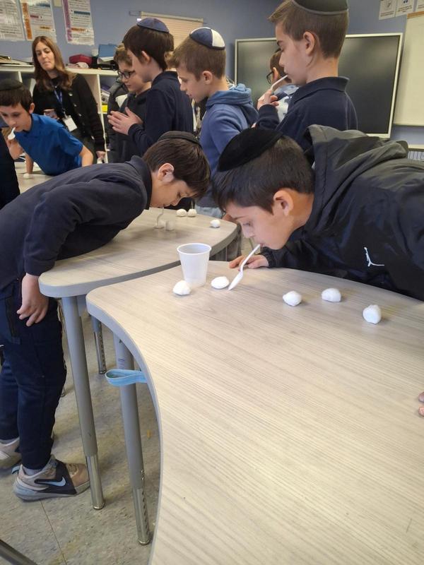 Picking up cotton balls with a spoon.