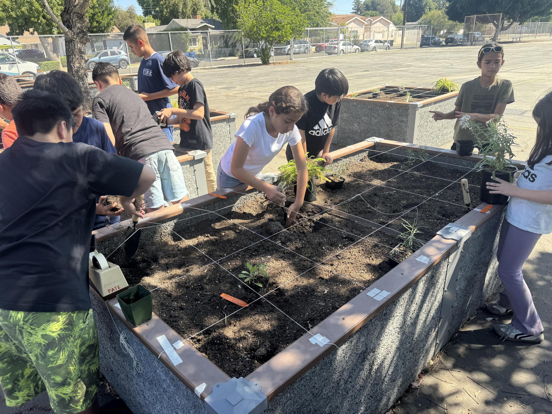 Lorne's Monarch Butterfly Sanctuary Garden