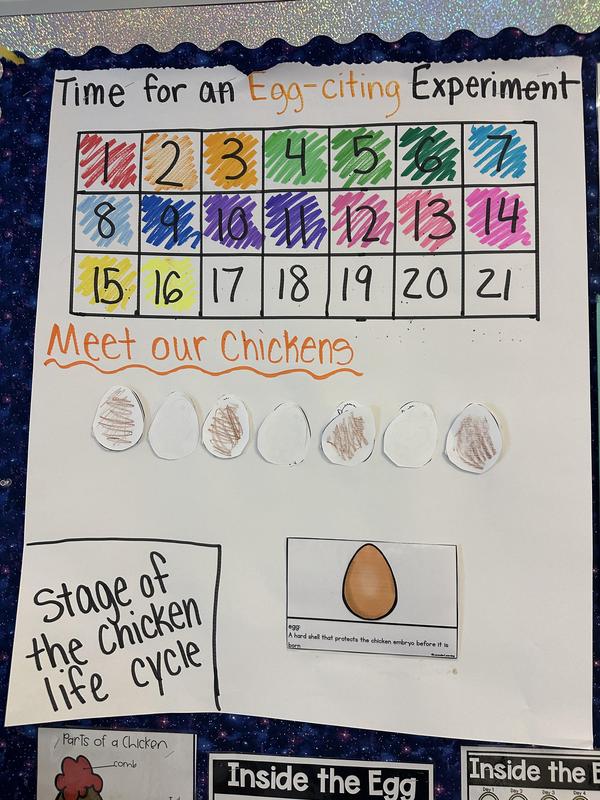 Something is hatching in Kindergarten! Featured Photo