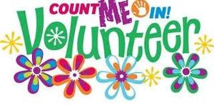 Volunteer Process