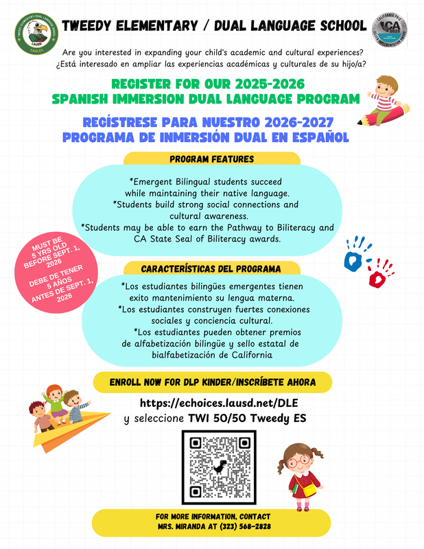 Dual language flyer information