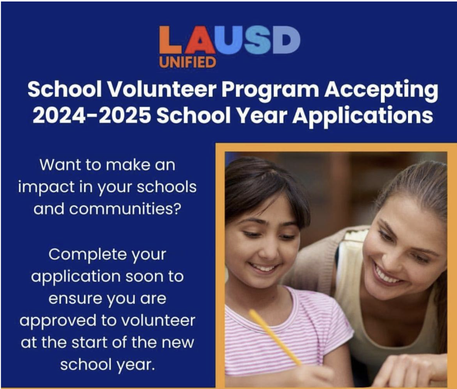 Volunteer Application Flyer