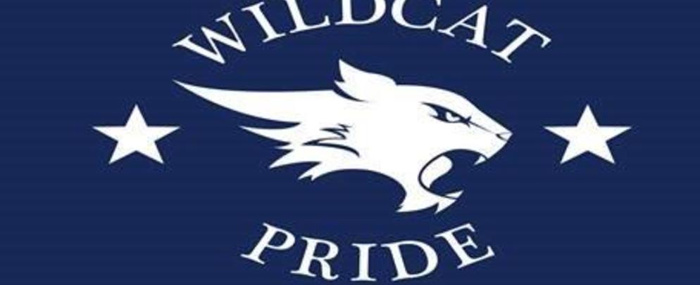 Wildcat Symbol