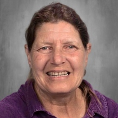 KathiDiPeri's Profile Photo