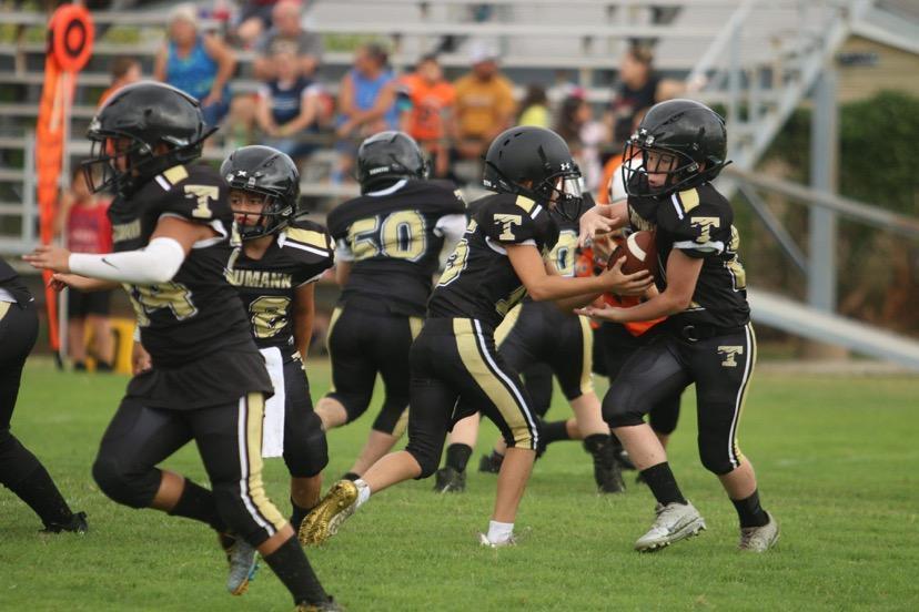 Pee Wee Wildcat Football Wildcat Football Trumann School District