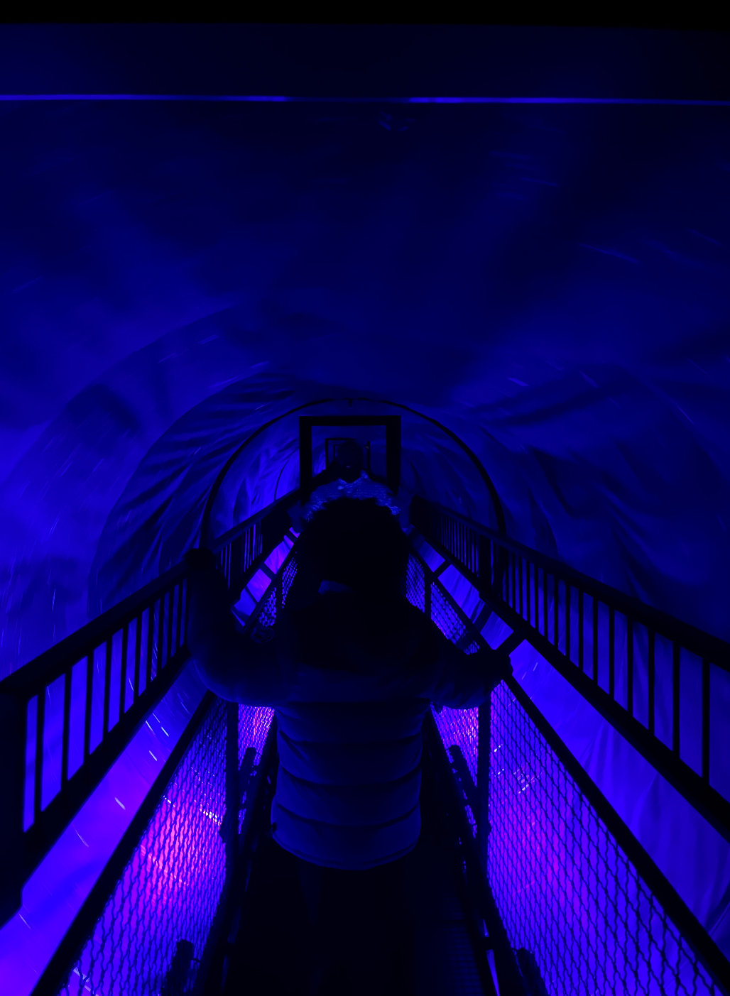 Last week, our CYSP students took a mind-bending trip to the Museum of Illusions at Mall of America! 🤯