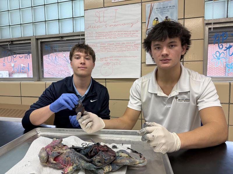 What did we do at school? Featured Photo