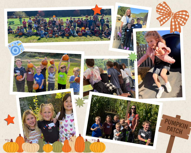 Pumpkin patch collage