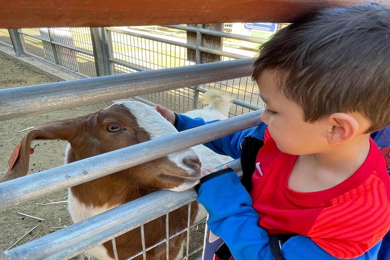 Kinder student w/goat
