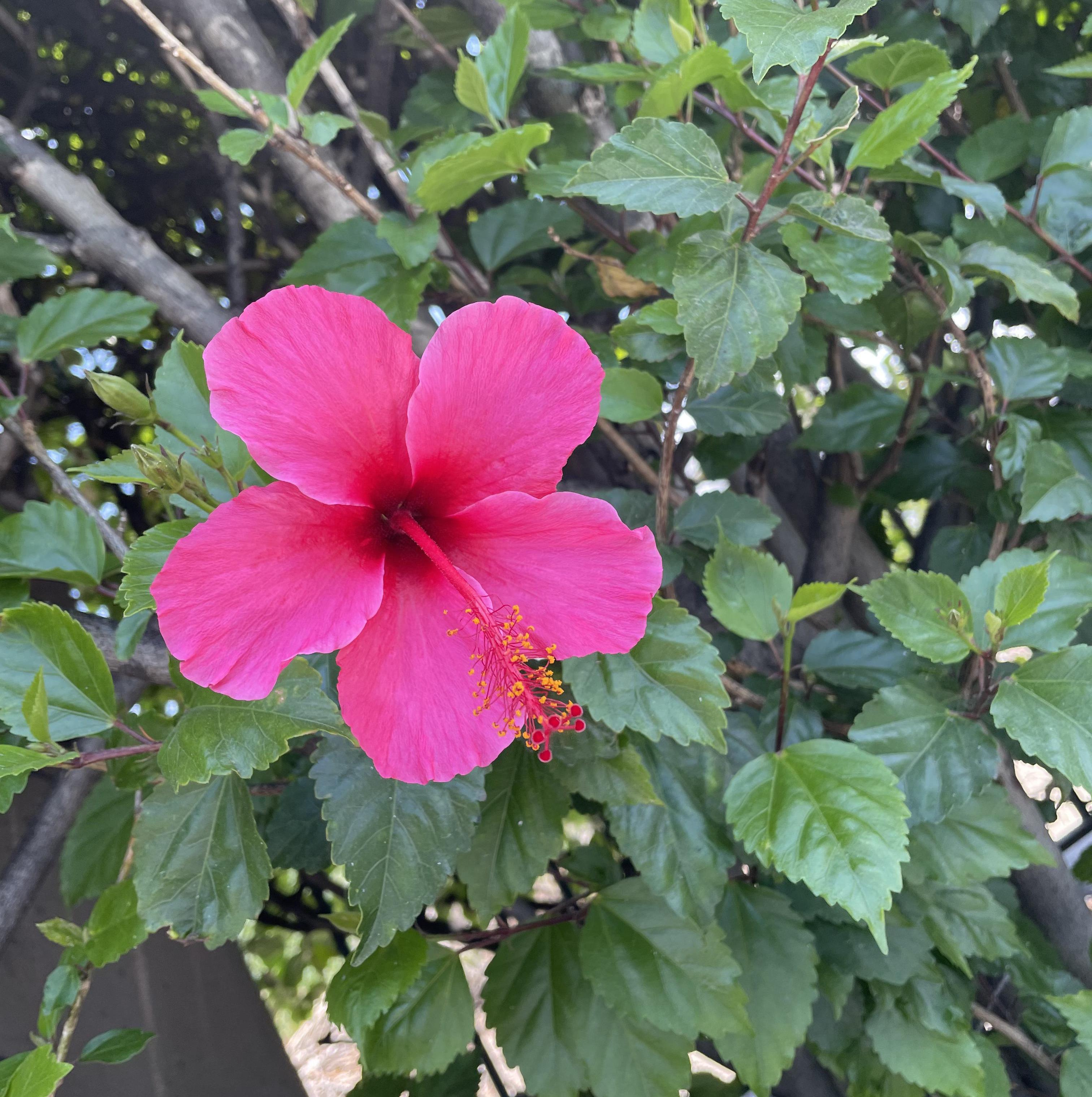 NataliaAvila's Profile Photo