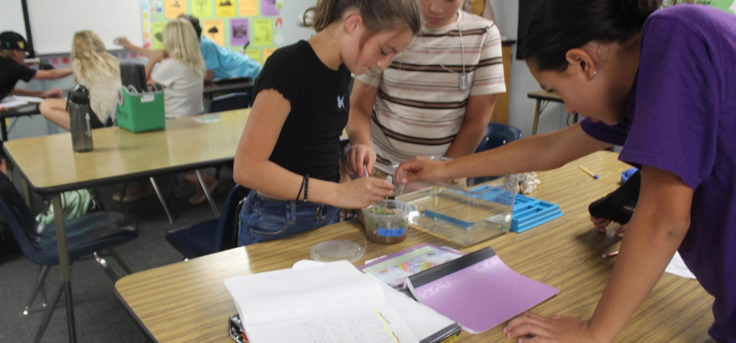 6th Grade Science 2025