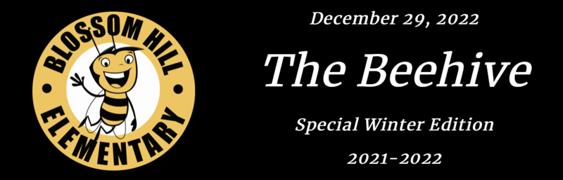 Beehive banner