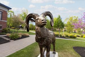 GP 25 Oratory Prep 005.jpg