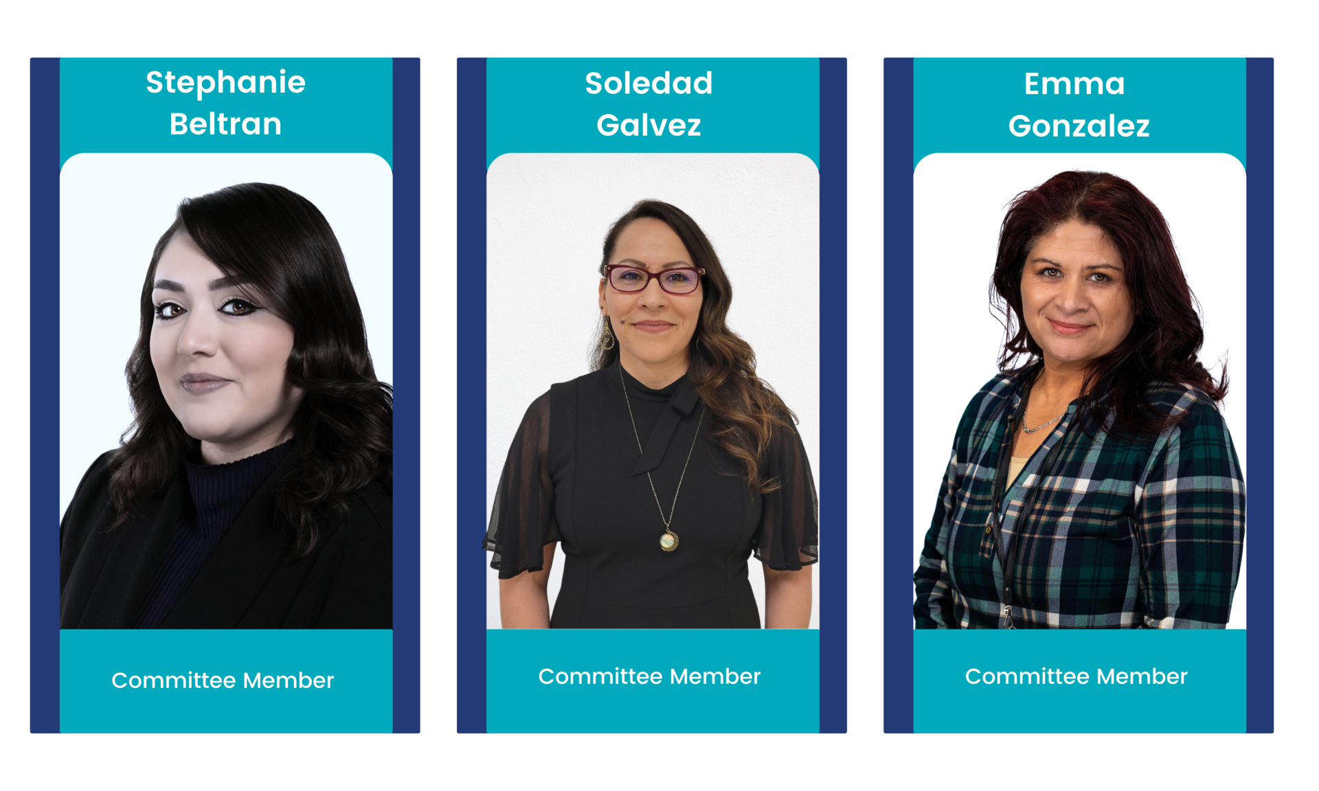 AIM committee members