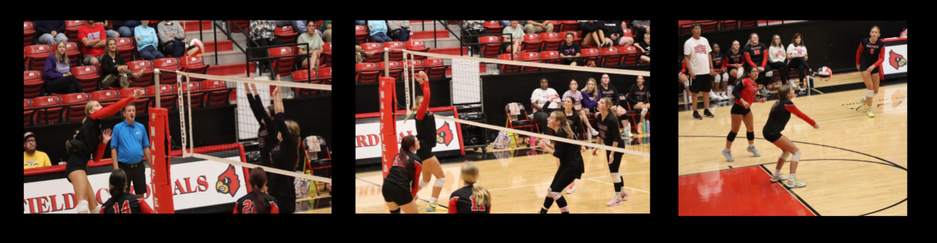 Mayfield High School Volleyball vs CCA