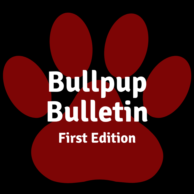 Bullpup Bulletin First Edition