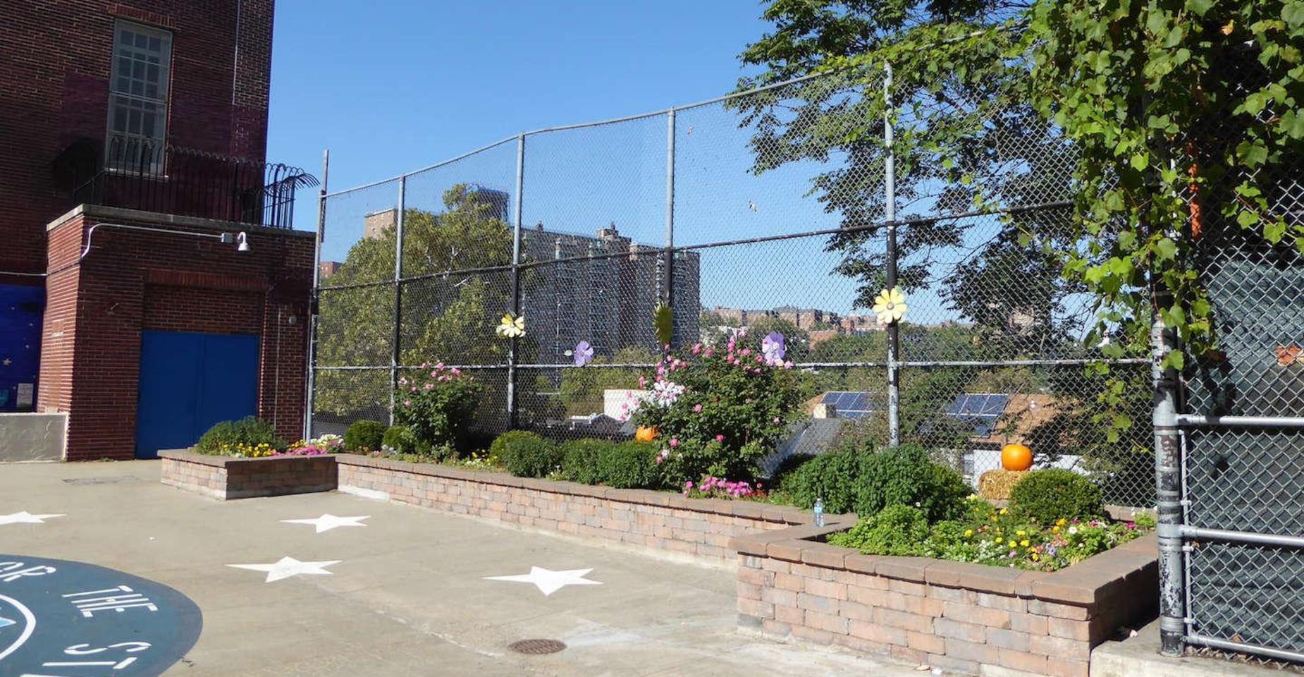A fenced schoolyard with plants and a view of buildings in the background.