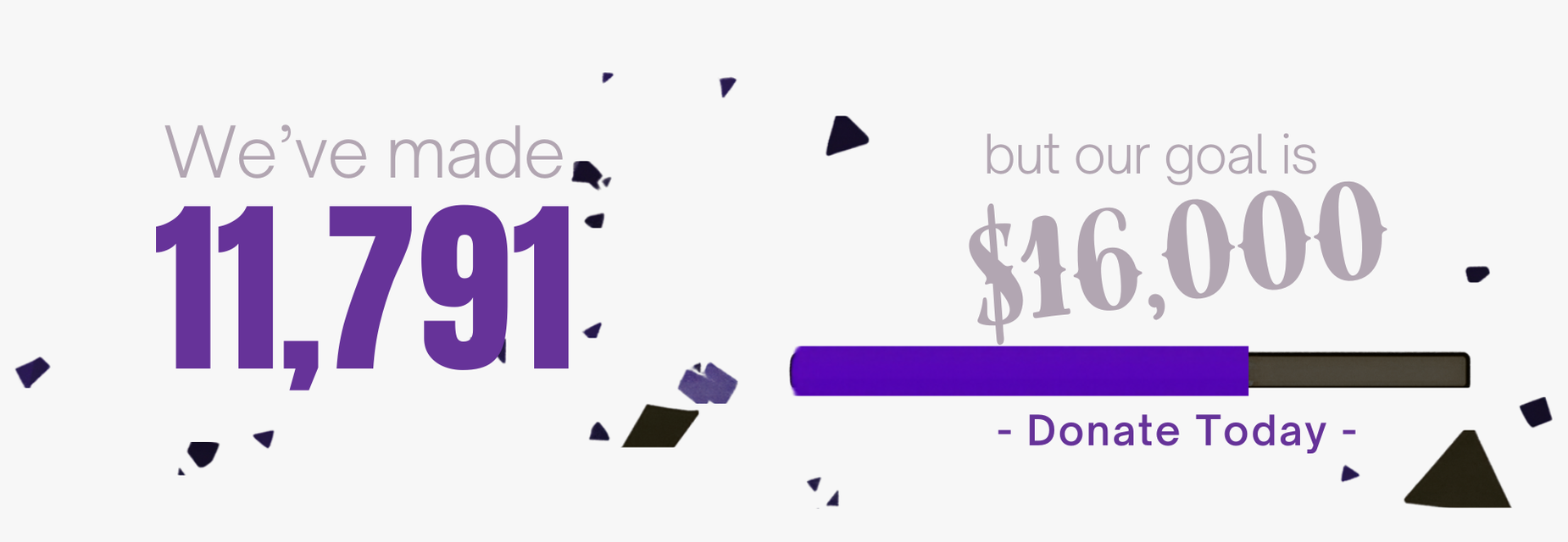 fund run donation total