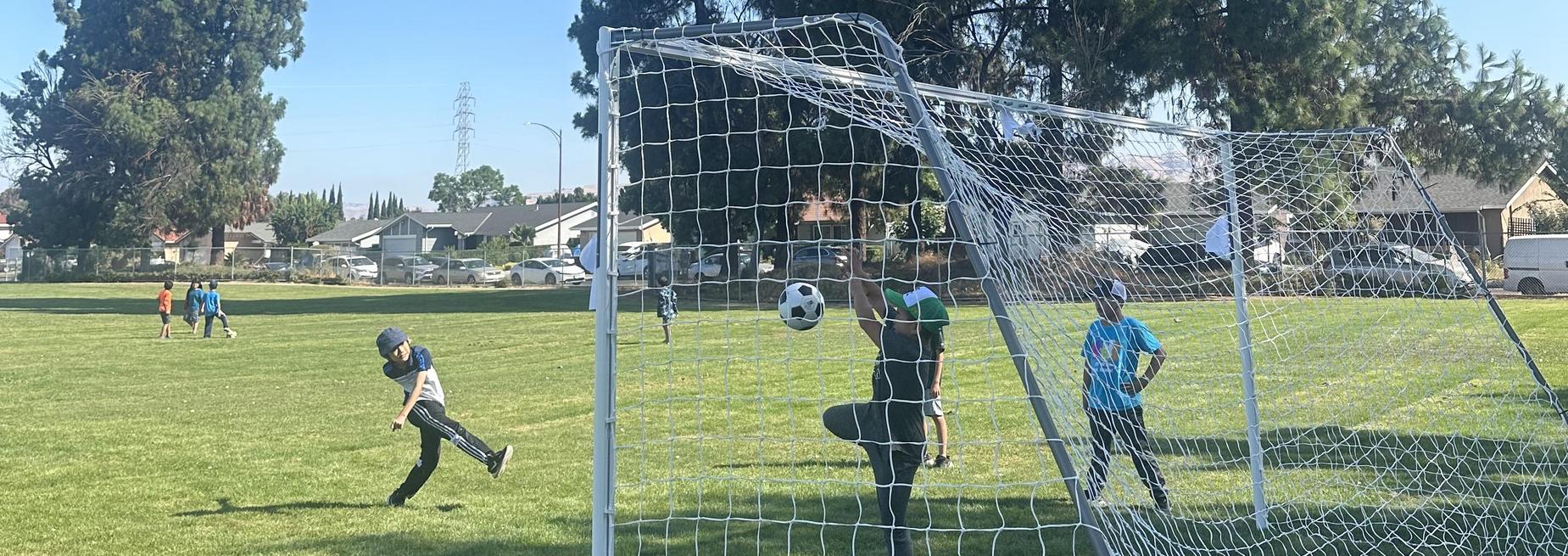 Windmill Springs School