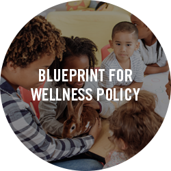 Healthy Start Program – Wellness Programs – Wellness Programs
