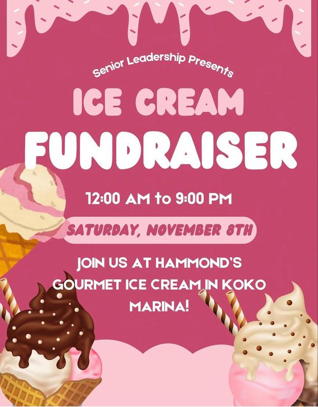 Hammonds gormet ice cream