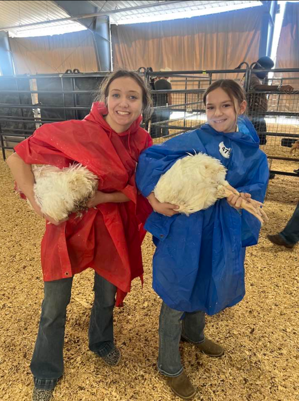 AG project submitted by students.