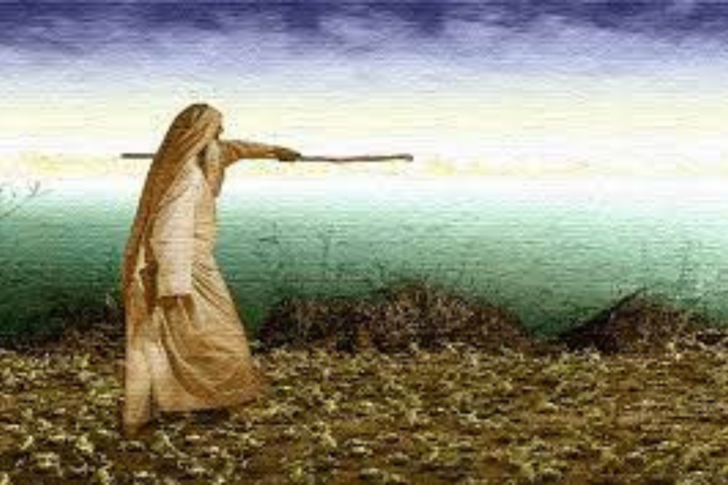 Rabbi Silvestri's Round Up: 01/19/2023