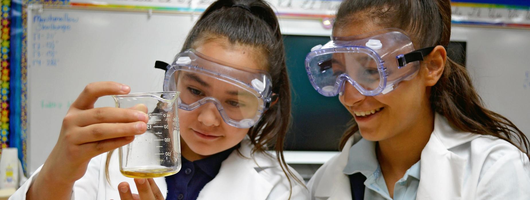 STEM Experiment