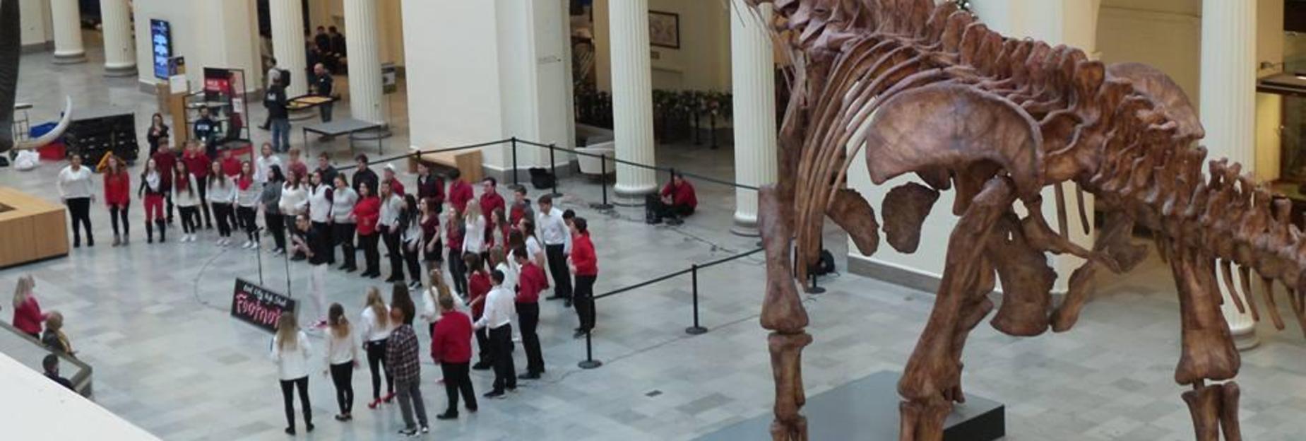 Footnotes at the Field Museum