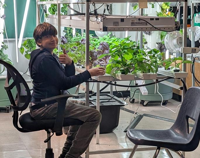 A student tends to his plants in they hydroponics lab