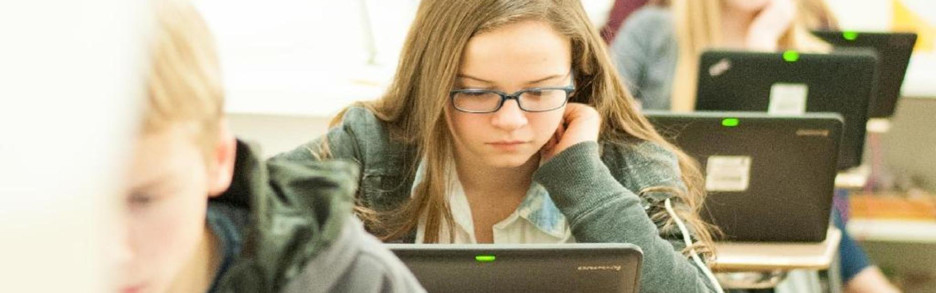 MS Assessments