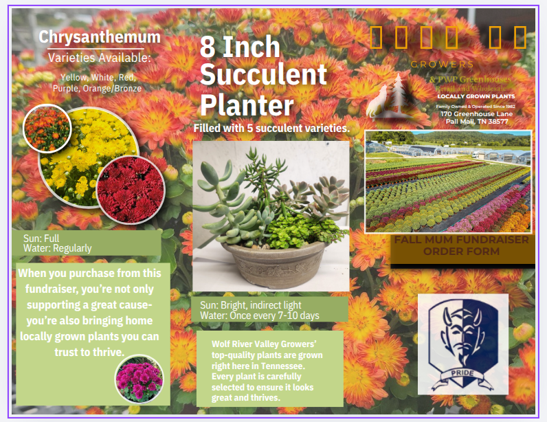 Mum Fundraiser